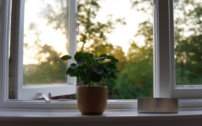 Confort d’été : comment garder sa maison fraîche sans climatisation ?
